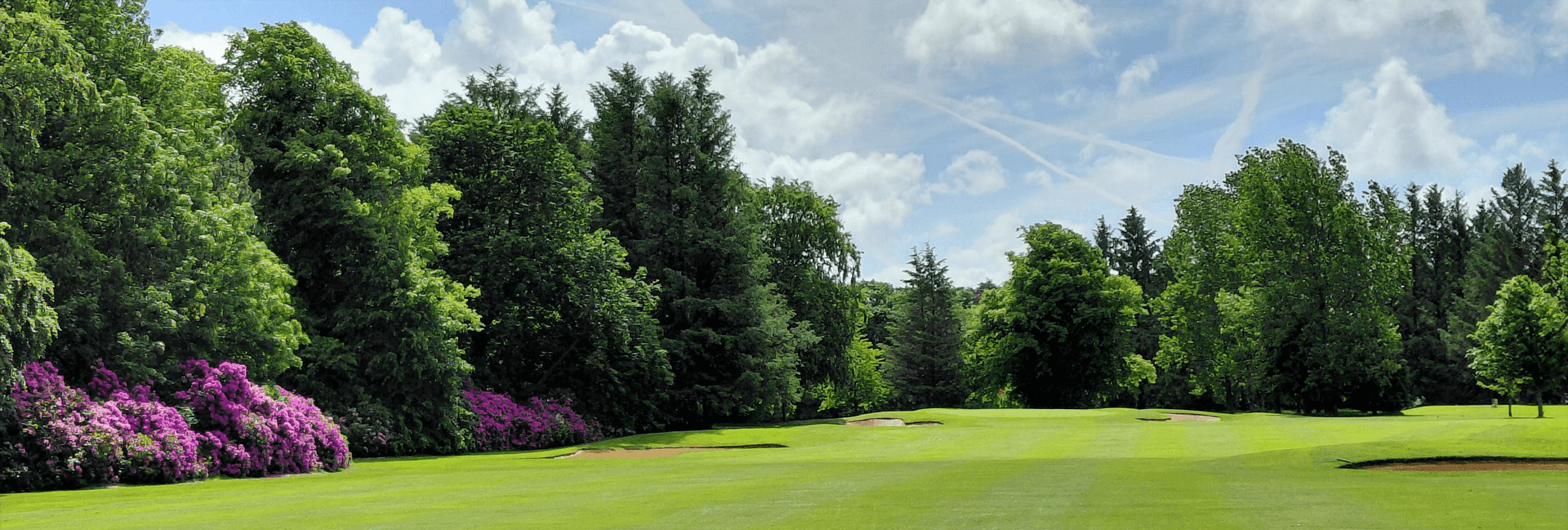 Hole 15